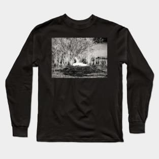 "Nesting Beauty" Long Sleeve T-Shirt